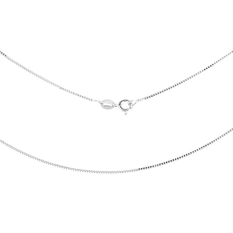 Silver chain necklace on a white background