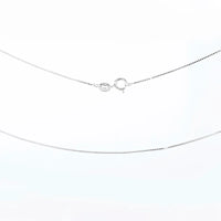 Silver chain necklace on a white background