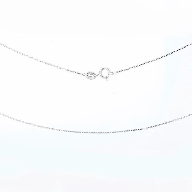 Silver chain necklace on a white background