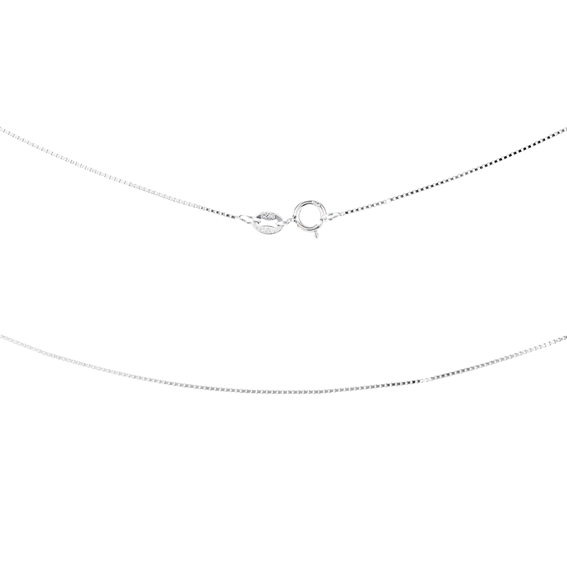 Silver chain necklace on a white background